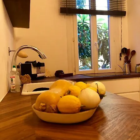 Un Coin De Paradis Dans Le Quartier De La Libération *